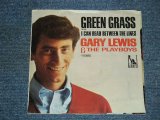 画像: GARY LEWIS & THE PLAYBOYS - GREEN GRASS /1966  US ORIGINAL 7"SINGLE + PICTURE SLEEVE 