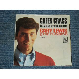 画像: GARY LEWIS & THE PLAYBOYS - GREEN GRASS /1966  US ORIGINAL 7"SINGLE + PICTURE SLEEVE 