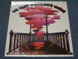 画像: VELVET UNDERGROUND - LOADED (Sealed)   /  US REISSUE "BRAND NEW SEALED" LP