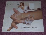 画像: SONIC YOUTH  - A THOUSAND LEAVES  /  1998 EU ORIGINAL NEW 2LP's