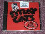 画像: STRAY CATS - RECORDED LIVE IN HOLLAND 30TH JULY / 2004 US ORIGINAL Sealed CD  