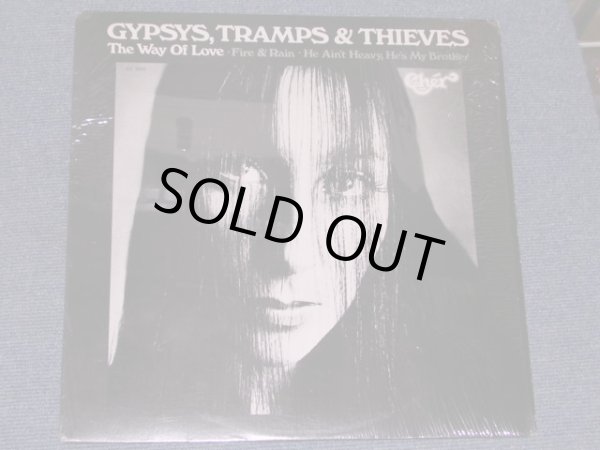 画像1: CHER - GYPSY, TRAMPS & THIEVES  / 1971 US ORIGINAL LP 