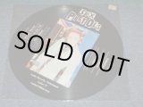 画像: SEX PISTOLS - ????????????    / NETHERLANDS LIMITED PICTURE DISC LP