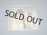 画像: THE STONE PONEYS (LINDA RONSTADT ) - EVERGREEN VOL.2 / 1967 US ORIGINAL STEREO LP
