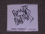 画像: FRANTIC FLINTSTONES - ENJOY YOURSELF / 1994 ORIGINAL Brand New Sealed Limited Maxi-CD  