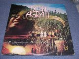 画像: DON AGRATI (Ex: YELLOWBALLON) - HOME GROWN  With Promo Sheet ( Ex+/MINT-) / 1973 US ORIGINAL WHITE LABEL PROMO  LP 