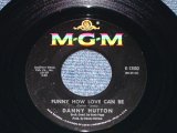 画像: DANNY HUTTON ( Later Of THREE DOG NIGHT ) - FUNNY HOW LOVE CAN BE  /   1966 US ORIGINAL 7"SINGLE  