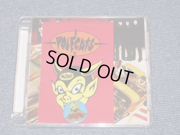 画像1: PAULCATS - ROCKABILLY CATS / US BRAND NEW SEALED CD  