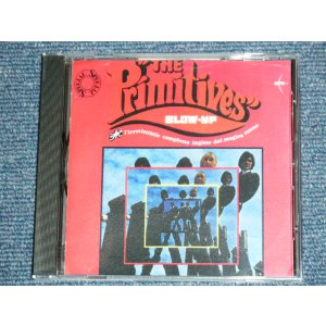 画像: THE PRIMITIVES - BLOW-UP : I'IRRESISTIBLE COMPLESSO INGLESE DAL MAGICO SUONO /  GERMAN Brand New CD-R  Special Order Only Our Store