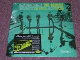 画像: SONICS, THE - INTRODUCING / US REISSUE 180g LP 