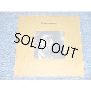 画像: PETER GALLWAY  of OHIO KNOX - PETER GALLWAY  /  1972 US ORIGINAL  LP 