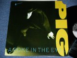 画像: PIG - A POKE IN THE EYE WITH A SHARP STICK / 1988 US ORIGINAL Used  LP 