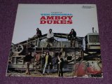 画像: AMBOY DUKES- THE BEST OF US ORIGINAL LP