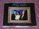 画像: STRAY CATS - ELVIS ON VELVET / 1992 EU ORIGINAL MAXI CD SINGLE  