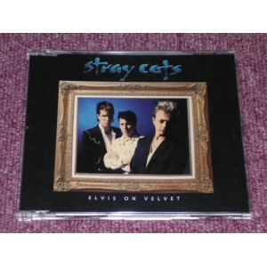 画像: STRAY CATS - ELVIS ON VELVET / 1992 EU ORIGINAL MAXI CD SINGLE  