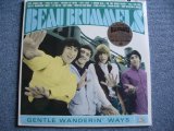 画像: BEAU BRUMMELS - GENTLE WANDERIN' WAYS / 2001 US REISSUE 180g SEALED LP