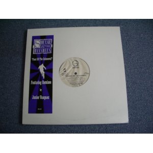 画像: SOUXSIE & THE BANSHEES - FEAR   / 1991 US PROMO ONLY 12" 
