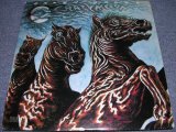 画像: CRAZY HORSE - CRAZY HORSE (Ex+++/MINT-) / 1978 US AMERICA ORIGINAL Used LP 