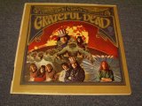 画像: GRATEFUL DEAD - GRATEFUL DEAD(Ex/Ex+~Ex  Looks:Ex-~VG+++)   / 1967 US ORIGINAL "GOLD Label"  MONO LP 