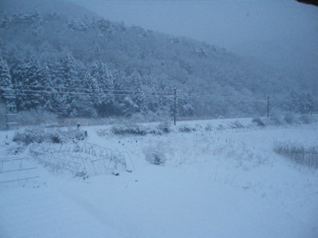 画像: 外は雪だよ