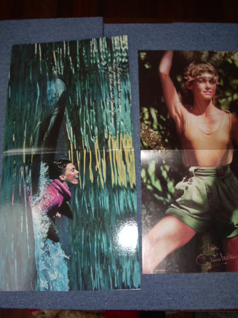 画像: OLIVIA NEWTON-JOHN - PHYSICAL  /1981 US ORIGINAL LP With PIN-UP POSTER 