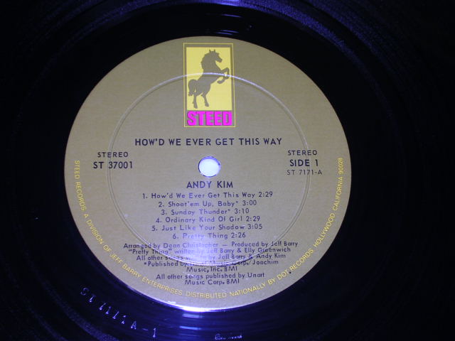 画像: ANDY KIM - HOW'D WE EVER GET THIS WAY / Late 1960s US ORIGINAL LP 