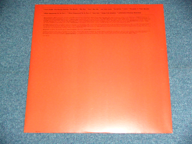 画像: IAN BROWN (Ex : STONE ROSES)  - UNFINISHED MONKEY BUSINESS (NEW) / 1997 UK ENGLAND ORIGINAL "Limited #4917" "Brand New"  LP With Limited BOOKLET 