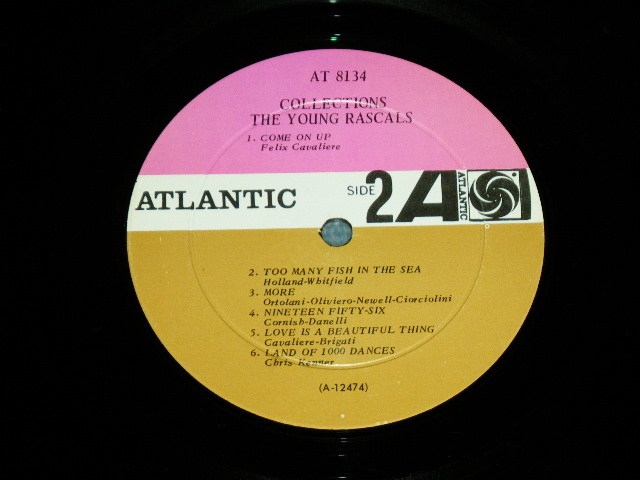 画像: YOUNG RASCALS - COLLECTION  ( Ex+/Ex+++ ) / 1966 US AMERICA ORIGINAL PURPLE & BROWN Label MONO Used LP 