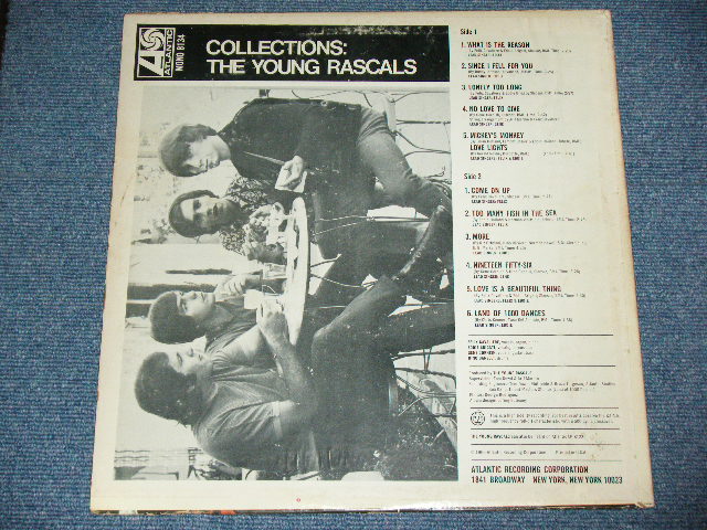 画像: YOUNG RASCALS - COLLECTION  ( Ex+/Ex+++ ) / 1966 US AMERICA ORIGINAL PURPLE & BROWN Label MONO Used LP 