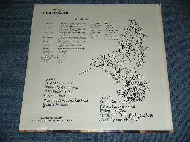 画像: YELLOW BALLOON  - THE YELLOW BALLOON ( SEALED ) / 1967 US AMERICA ORIGINAL STEREO Brand New SEALED  LP