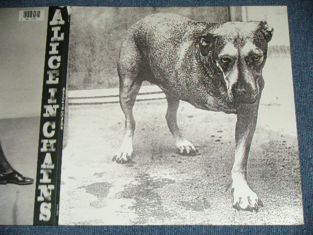 画像: ALICE IN CHAINS - FEATURING GRIND ( Ex+++/MINT- )   / 1995 US AMERICA  ORIGINAL Used  2 LP's  