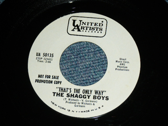 画像: THE SHAGGY BOYS - BEHIND THESE STAINED GLASS WINDOW ( MINT-/MINT- )/ 1960's US AMERICA ORIGINAL White Label PROMO Used 7"45 