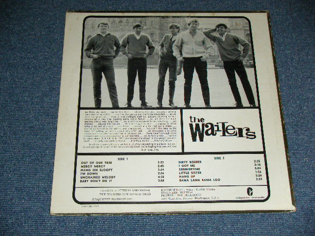 画像: The WAILERS - OUT OF OUR TREE  ( VG+++.VG+++ )   /  1966 US AMERICA ORIGINAL MONO  Used  LP