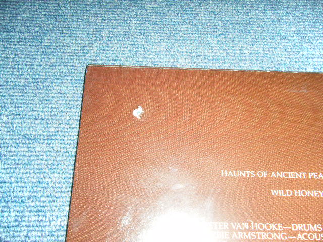 画像: VAN MORRISON - COMMON ONE  / 1980 US AMERICA ORIGINAL Brand New SEALED LP