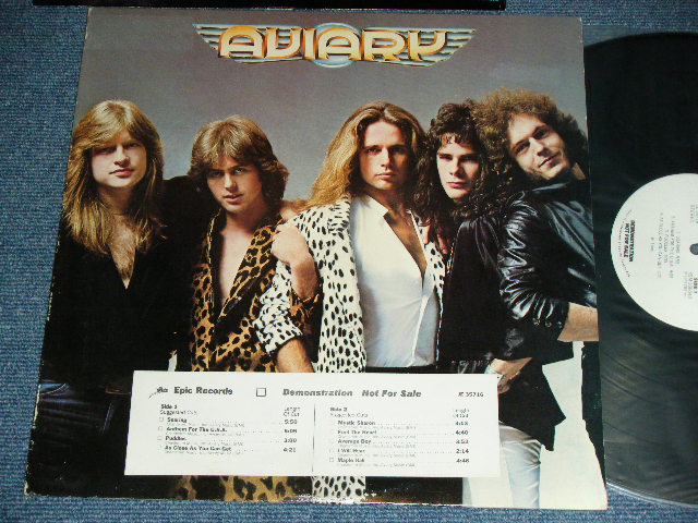 画像1: AVIARY - AVIARY ( Sound Like 'QUEEN' ) / 1979 US AMERICA White Label PROMO Used LP 