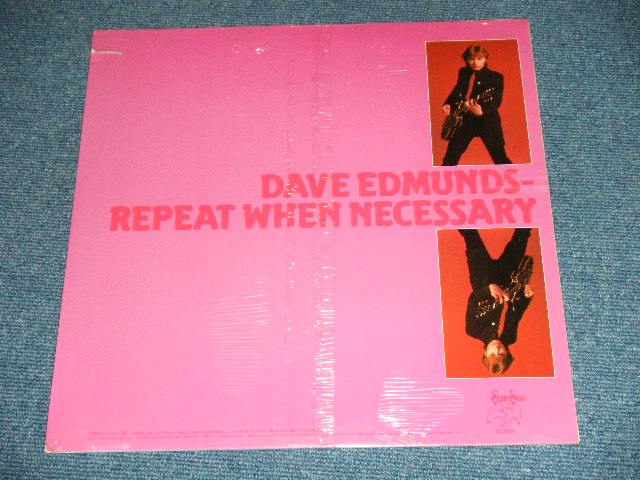 画像: DAVE EDMUNDS - REPEART WHEN NECESSARY ( SEALED )  / 1979 US AMERICA ORIGINAL Brand New SEALED LP