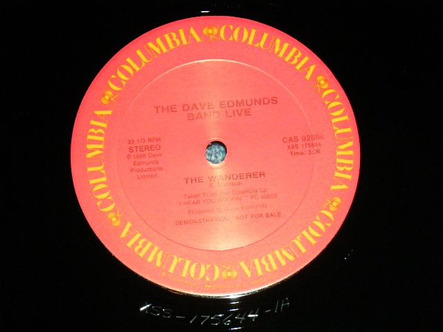 画像: DAVE EDMUNDS -  THE WADERERER  ( Ex++/MINT-)  / 19869 US AMERICA ORIGINAL"PROMO ONLY" Used 12" 