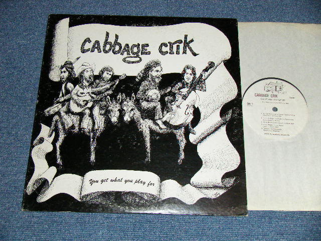 画像1: CABBAGE CRIK (MICHIGHAN BLUEGRASS COUNTRY ROCK ) - YOU GET WHAT YOU PLAY FOR  ( Included BOB DYLAN,HANK WILLIAMS,etc..Cover Song Ex+/MINT-)  / 1975 US AMERICA  ORIGINAL Used LP 
