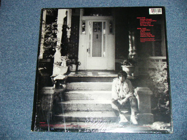 画像: BOB DYLAN -  UNDER THE RED SKY ( MINT-/MINT-)  / 1990  US AMERICA ORIGINAL Used  LP