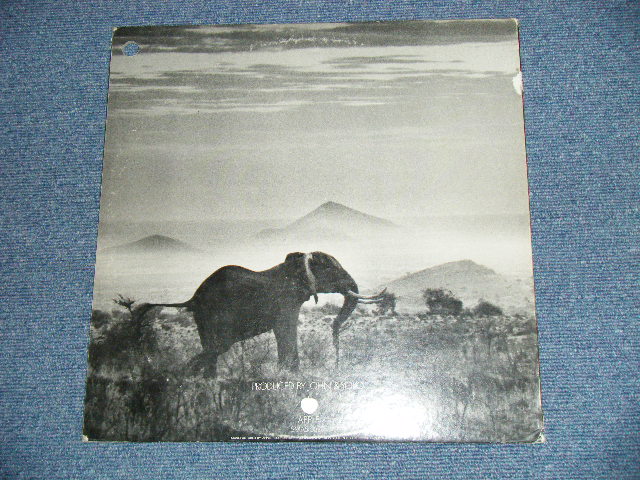 画像: ELEPHANT'S MEMORY -  ELEPHANT'S MEMORY (Produced by JOHN LENNON : Ex+/Ex+++) / 1972 US AMERICA ORIGINAL BB Hole for PROMO  Used  LP 