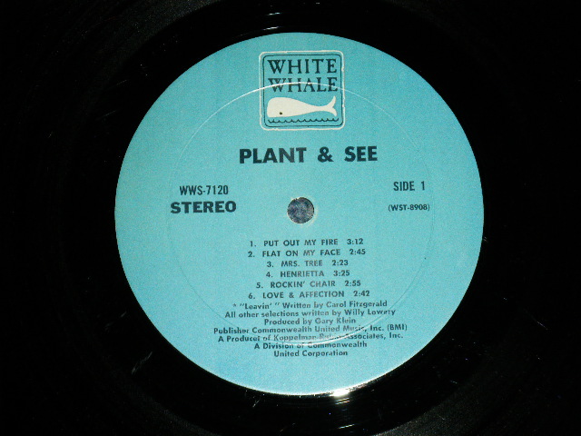画像: PLANET AND SEE -  PLANET AND SEE  (Ex+/Ex+++) / 1966 US AMERICA ORIGINAL "STEREO" Used  LP 