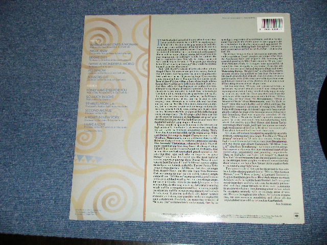 画像: ART GARFUNKEL (of SIMON &GARFUNKEL ) - GARFUNKEL (Ex+++/MINT-) / 1988 US AMERICA ORIGINAL Used LP  