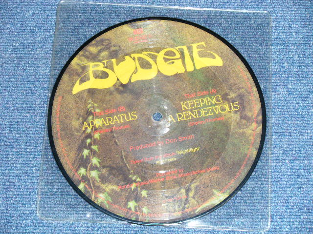 画像: BUDGIE - KEEPING A RENDEZVOUS   (-/MINT-)  / 1981 UK ENGLAND  ORIGINAL "PICTURE DISC"  Used 7" Single 