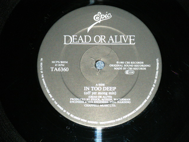 画像: DEAD OR ALIVE  - IN TOO DEEP ( Ex+++/MINT-)   / 1985 UK ENGLAND   ORIGINAL Used 12" 