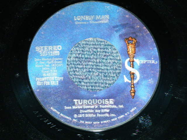 画像: TURQUOISE - TO KNOW HER(IS TO LOVE HER) Cover Song of TEDDY BEARS of PHIL SPECTOR ( Ex++/Ex+ )     / 1975 US AMERICA  ORIGINAL "PROMO"  Used  7" Single 