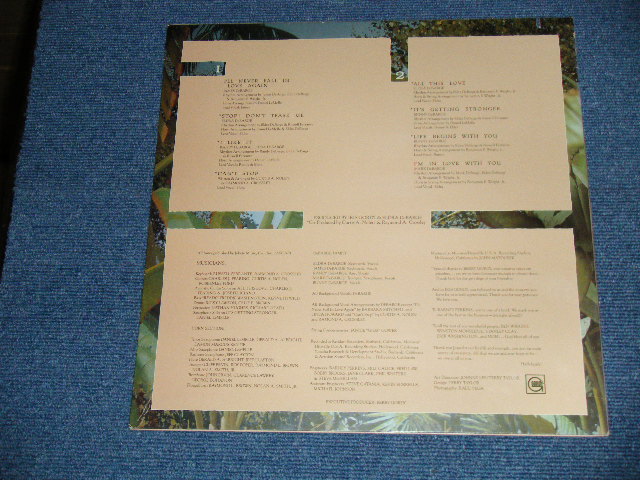 画像: DeBARGE - ALL THIS LOVE  ( Ex++/Ex+++ )  / 1982 US AMERICA ORIGINAL Used LP