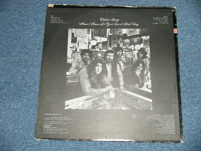 画像: CHELSEA PEIGE - MAMA,MAMA,LET YOUR SWEET BIRD SING  (ACID ROCK)  ( Ex/MINT- )   / 1971 US AMERICA ORIGINAL  Used  LP