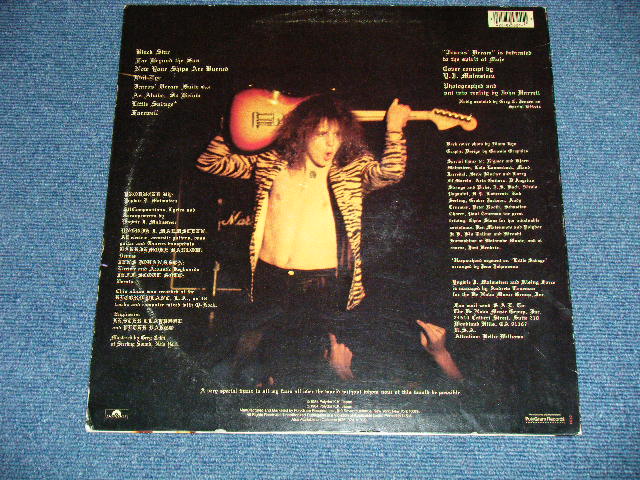 画像: YNGWIE J. MALMSTEEN'S RISING FORCE - RISING FORCE  ( Ex+/MINT-)   /  1984 US AMERICA  ORIGINAL  Used  LP