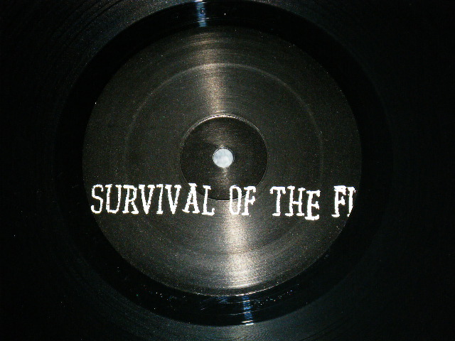 画像: OUT OF ORDER - SURVIVAL OF THE FITTEST ( Ex+++/Ex+++ Looks:Ex )   /  US AMERICA ORIGINAL Used LP 