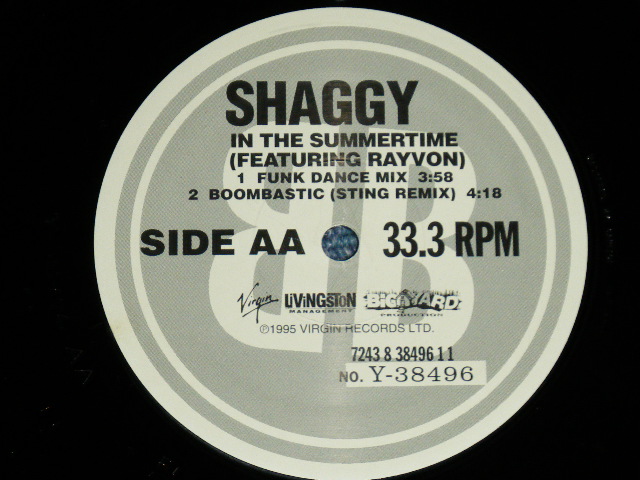 画像: SHAGGY - IN THE SUMMERTIME  ( MINT-/MINT-) /  1995  US AMERICA  ORIGINAL Used 12" 